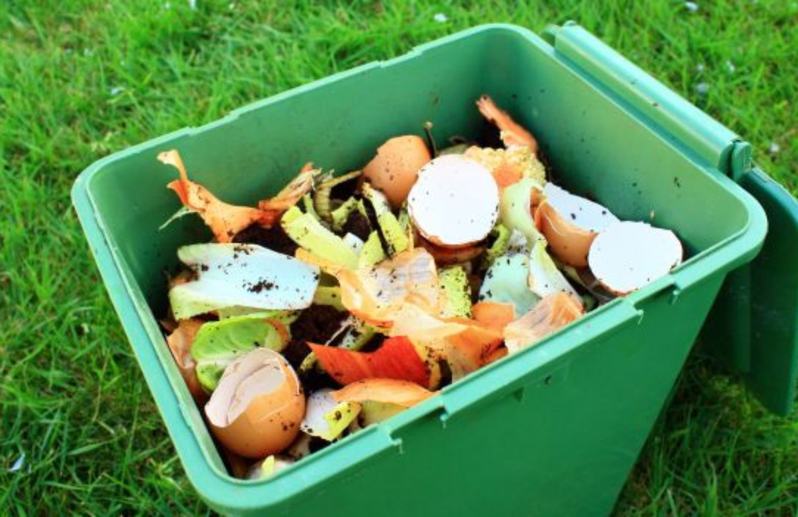 Come scegliere il materiale per ottenere un buon terriccio da compost