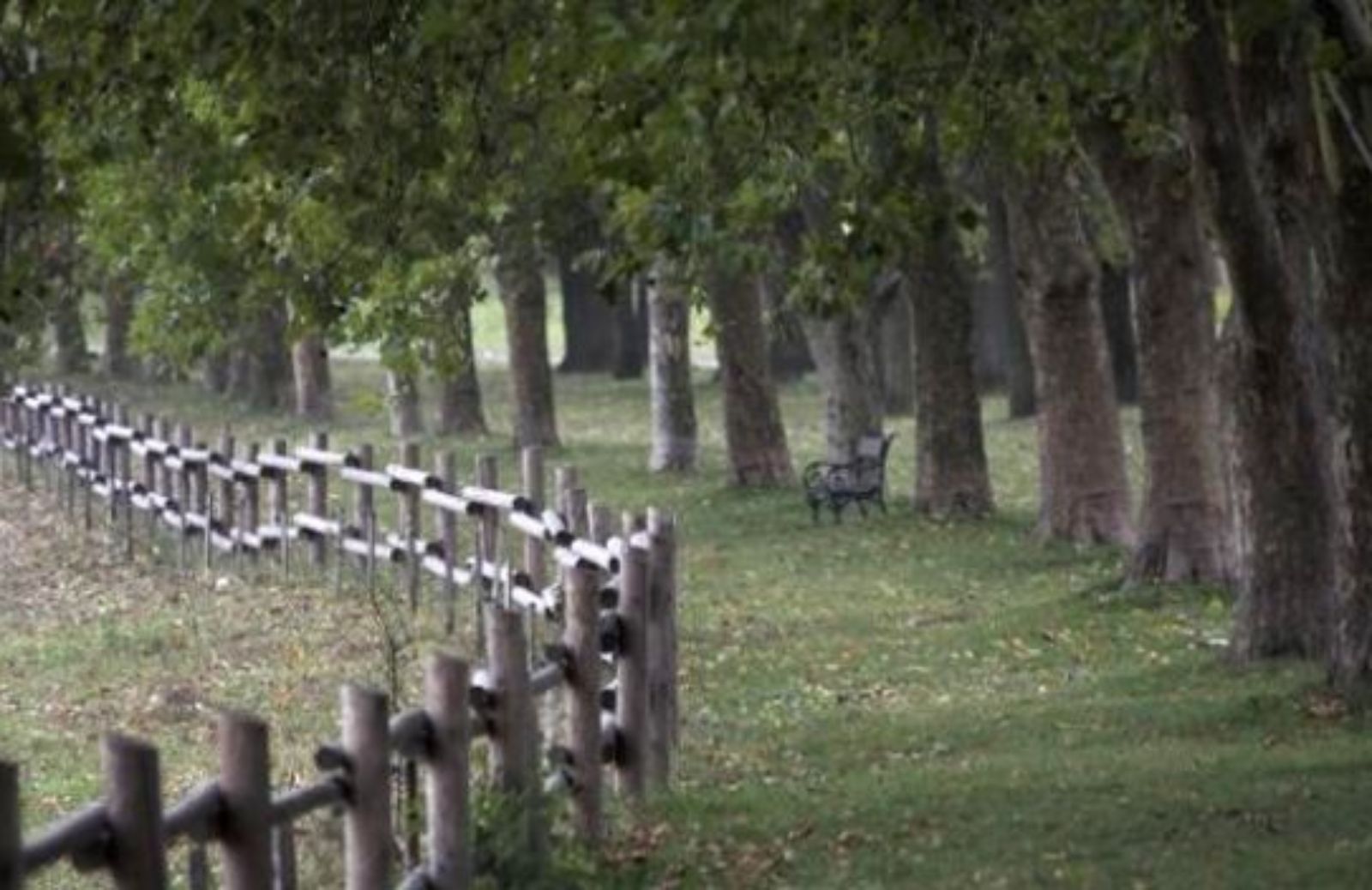 Come scegliere la recinzione più appropriata al tuo giardino