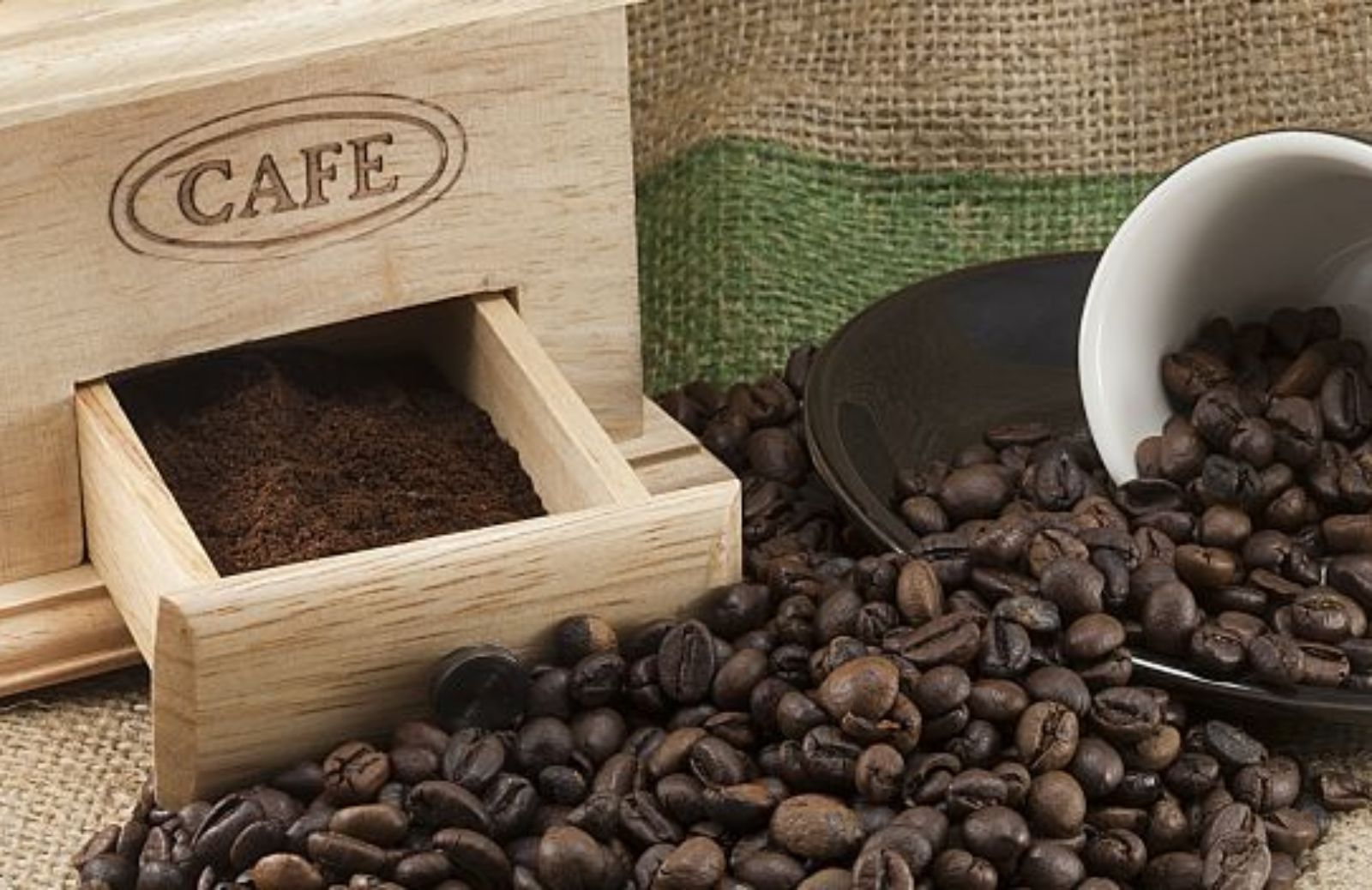 Come si coltiva la coffea