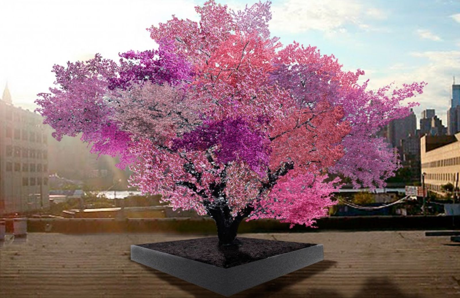 L'albero dei quaranta frutti: un albero ibrido