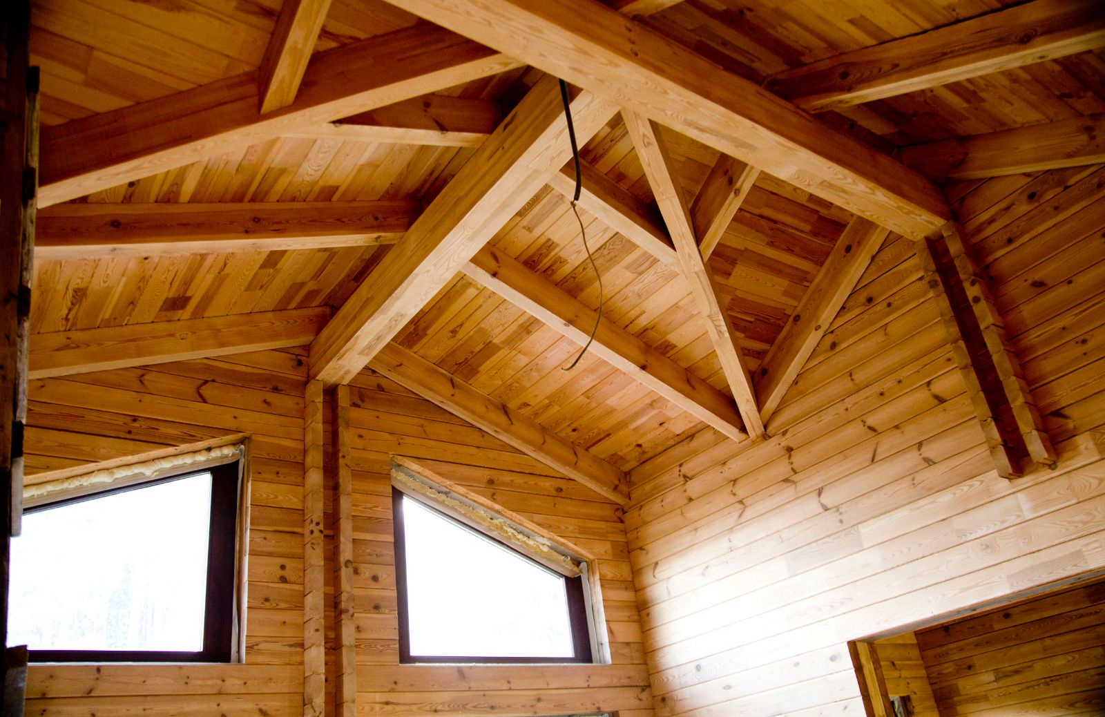 Case in legno: vantaggi e svantaggi