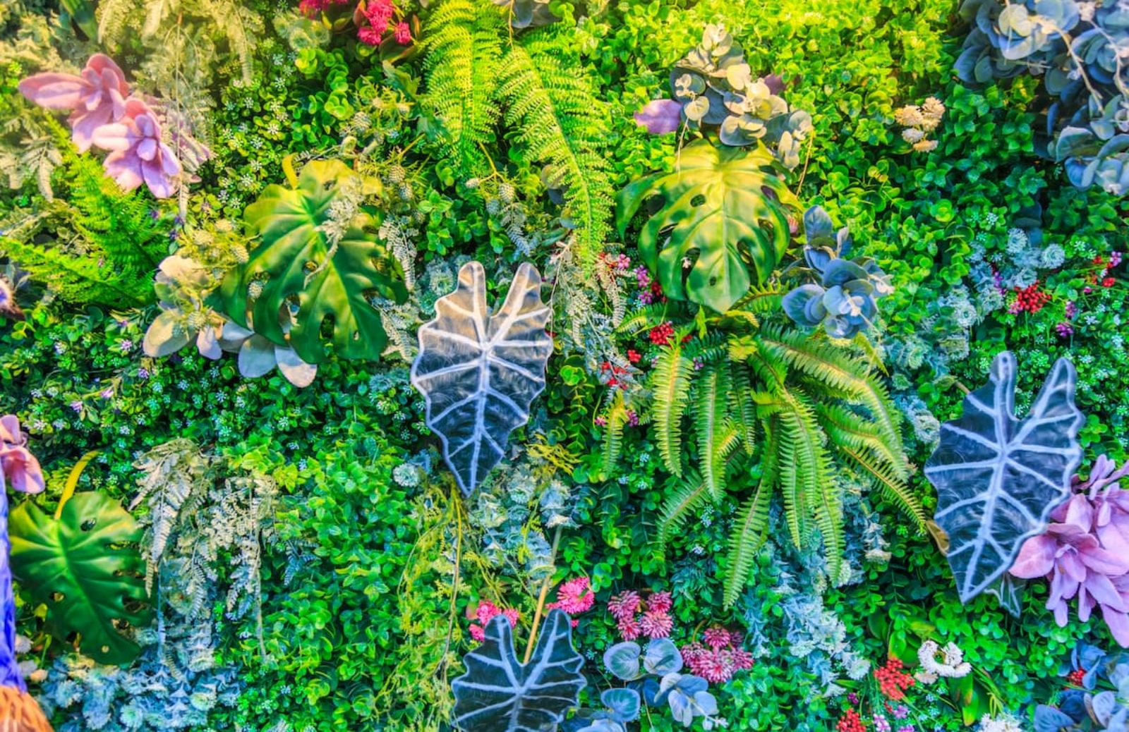 Come creare un muro fiorito
