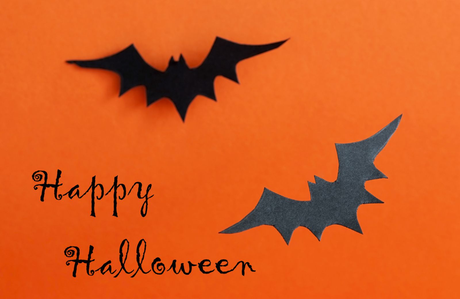 Come realizzare pipistrelli di carta per la festa di Halloween