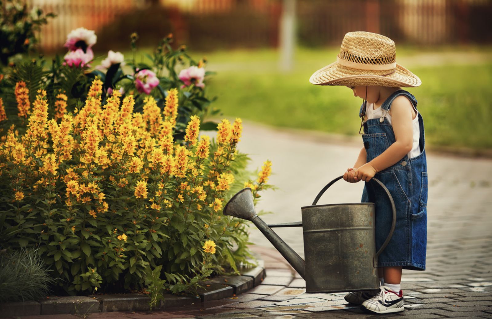Come curare il giardino e l’orto a giugno: il calendario dei lavori