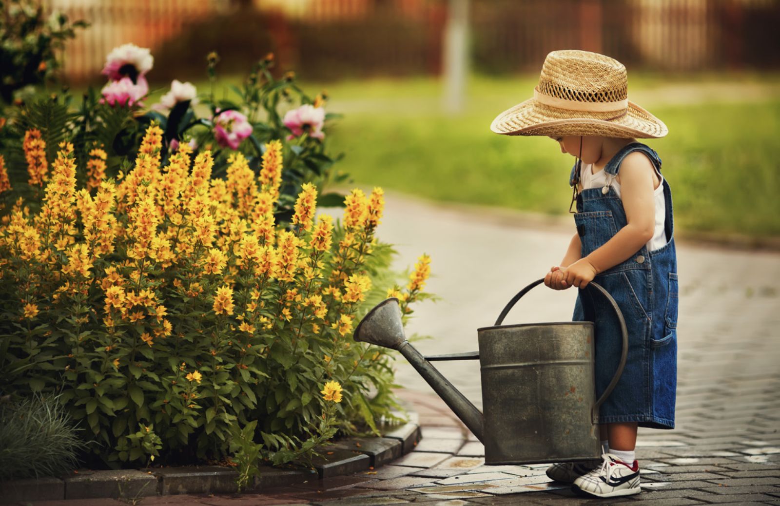 Come curare il giardino e l’orto a giugno: il calendario dei lavori
