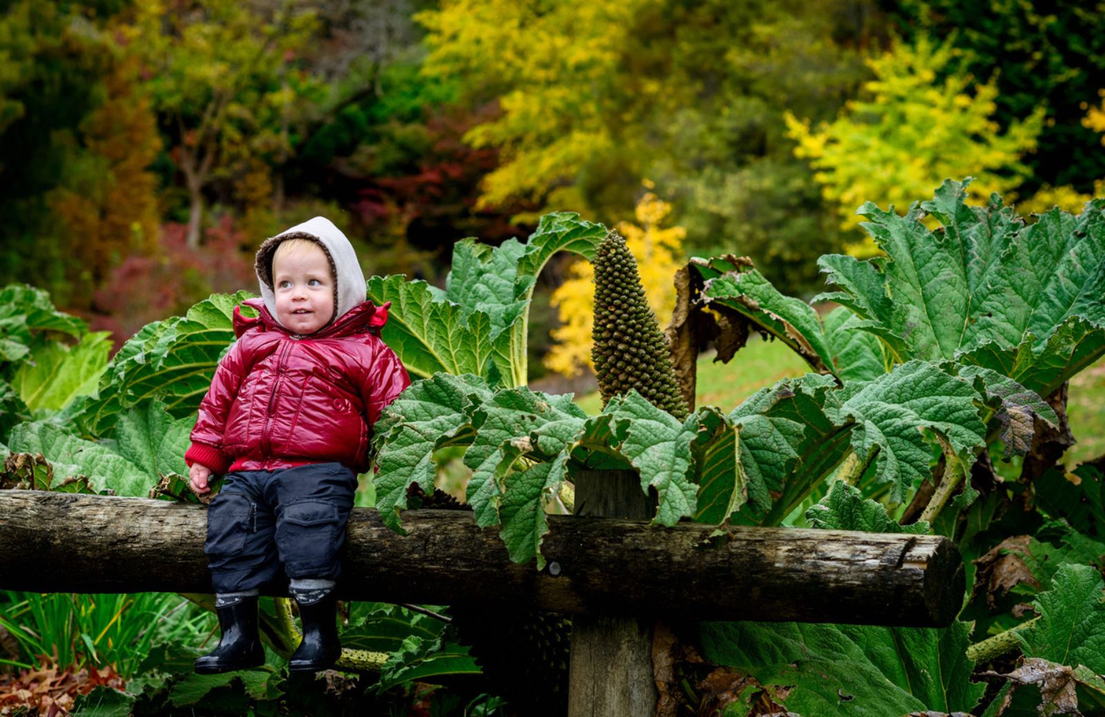 Come curare il giardino e l’orto ad aprile: il calendario dei lavori