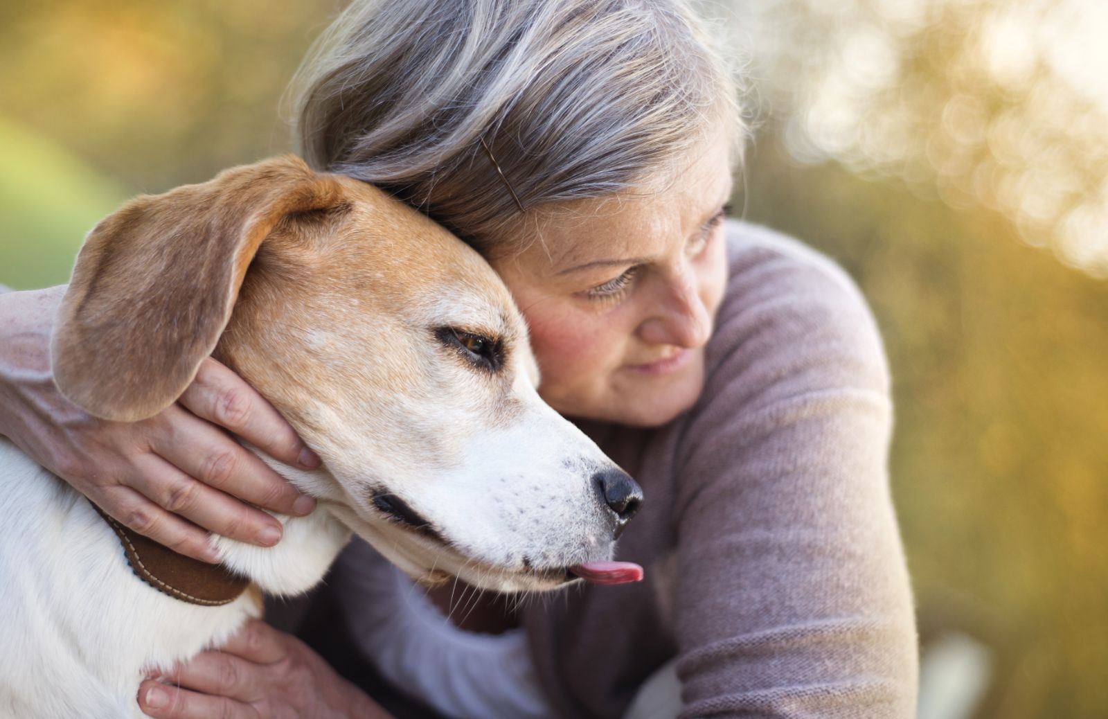 Alimentazione cane anziano: cosa deve mangiare per stare bene
