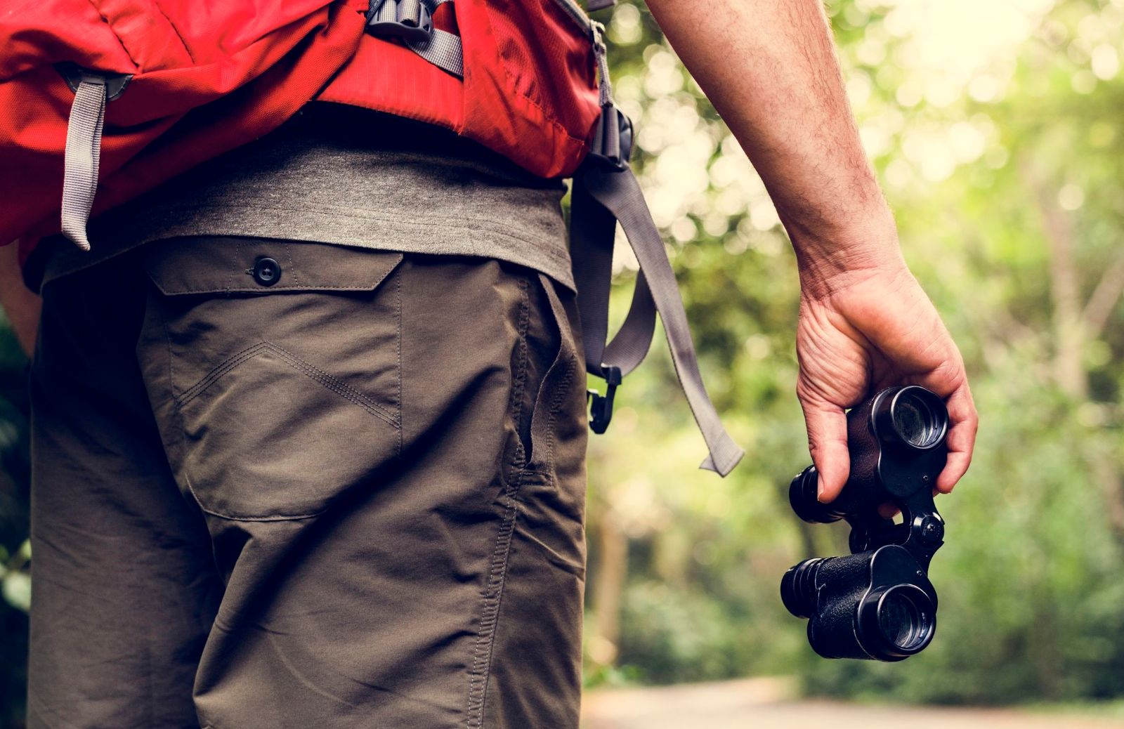 I migliori posti per fare birdwatching in Italia