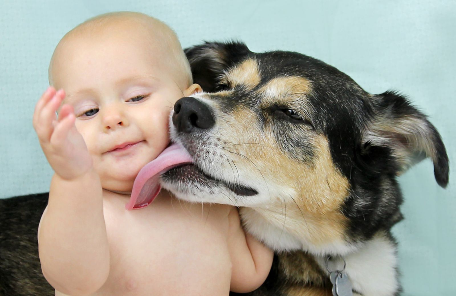 Baciare il proprio cane fa bene alla salute