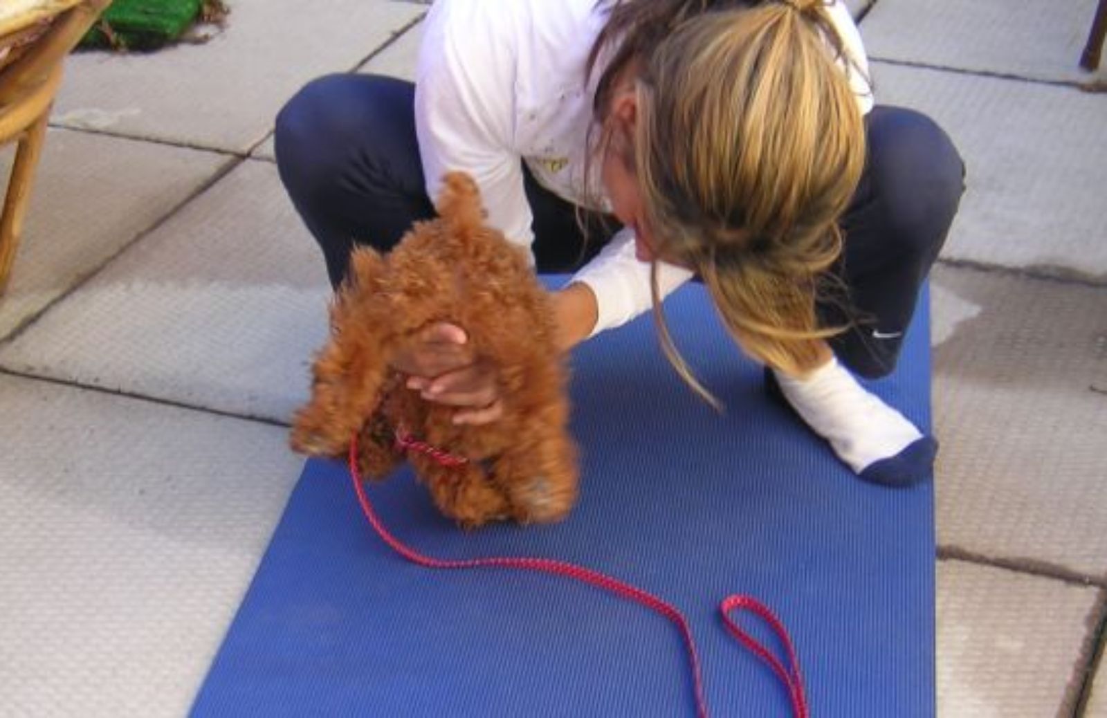 Come fare yoga con il tuo cane