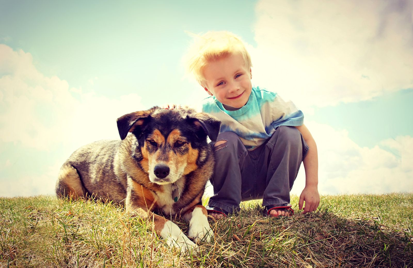 Come scegliere iI cane più adatto ai bambini