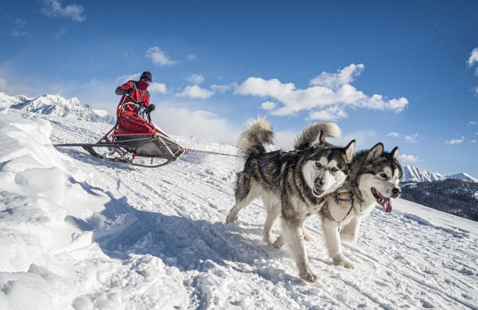 Cos’è lo sleddog e dove praticarlo in Italia