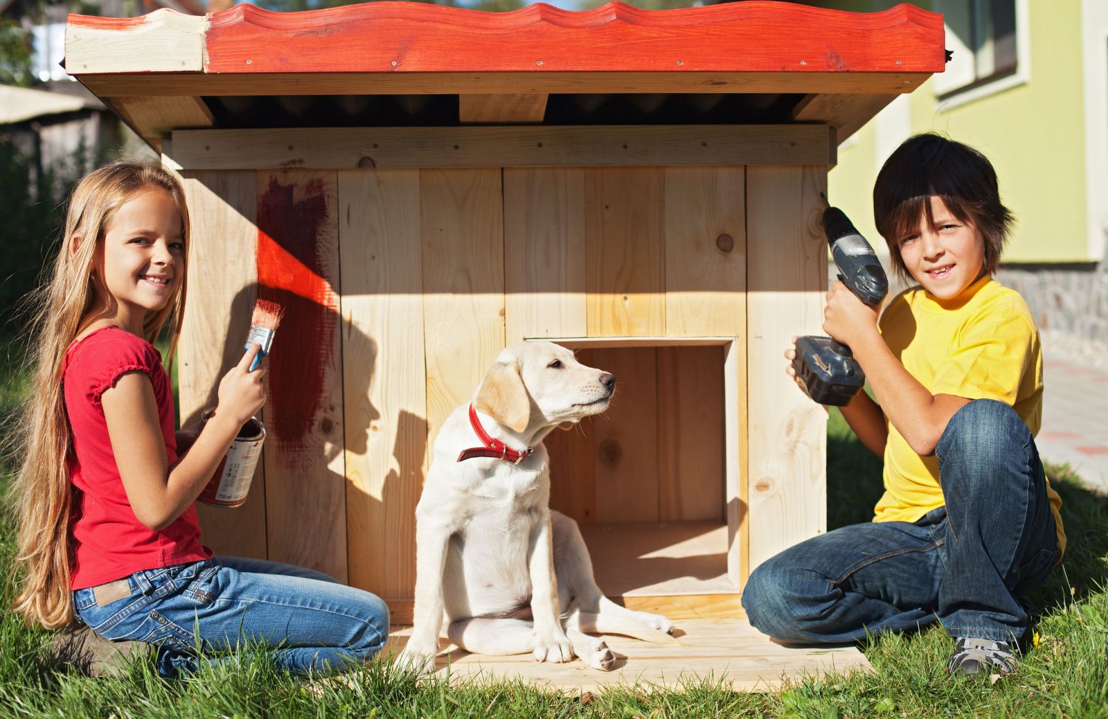 Cuccia per cani in legno: tipologie e caratteristiche