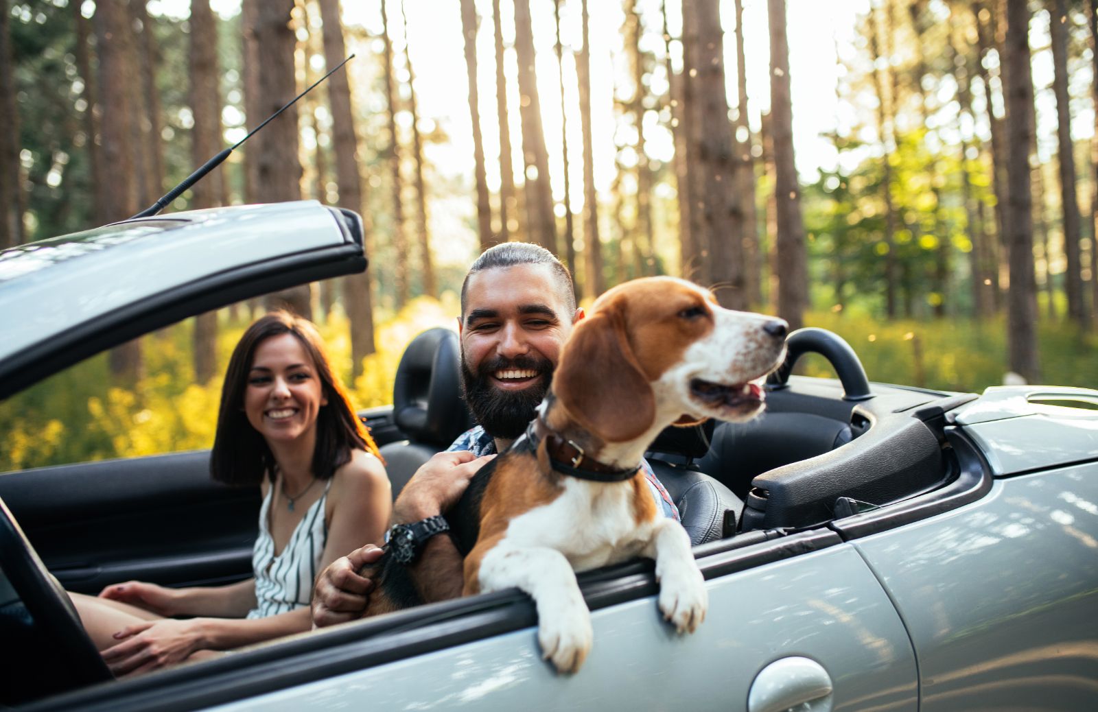 Vacanze con il cane: destinazioni, regole, precauzioni e consigli