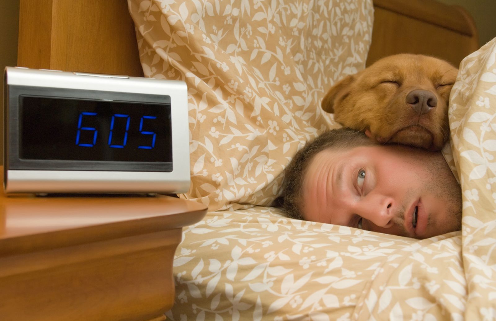 Cani e gatti: ogni notte i padroni perdono 90 minuti di sonno 
