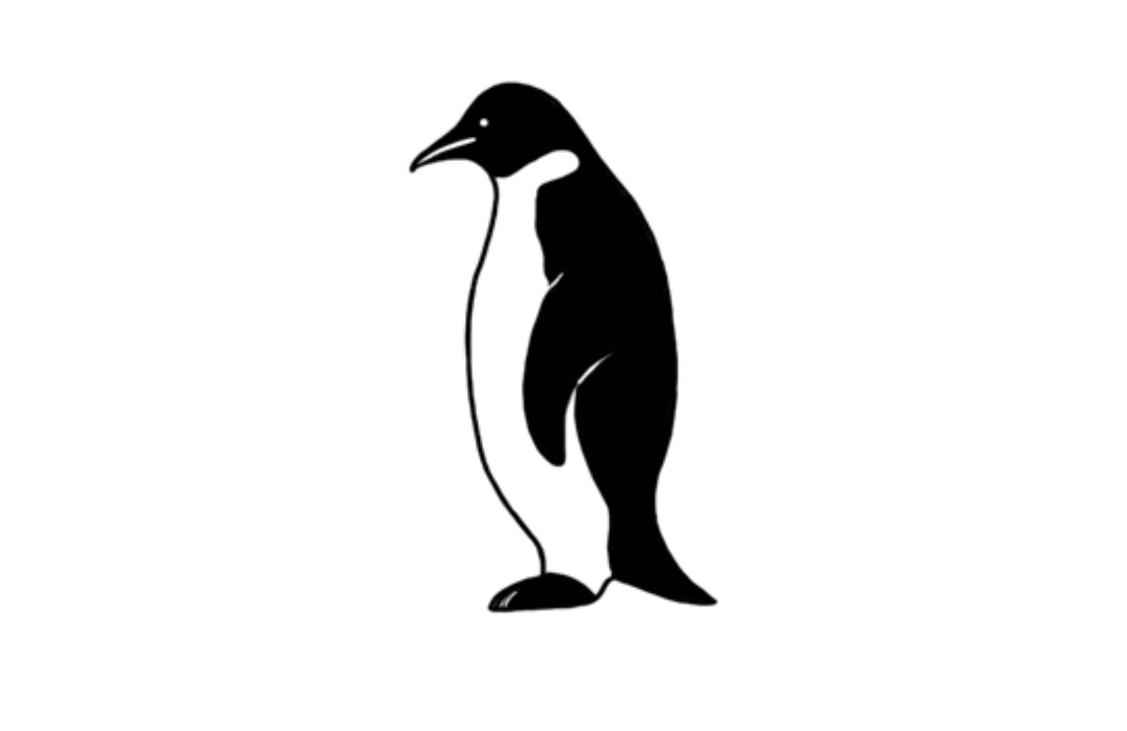 Come disegnare un pinguino
