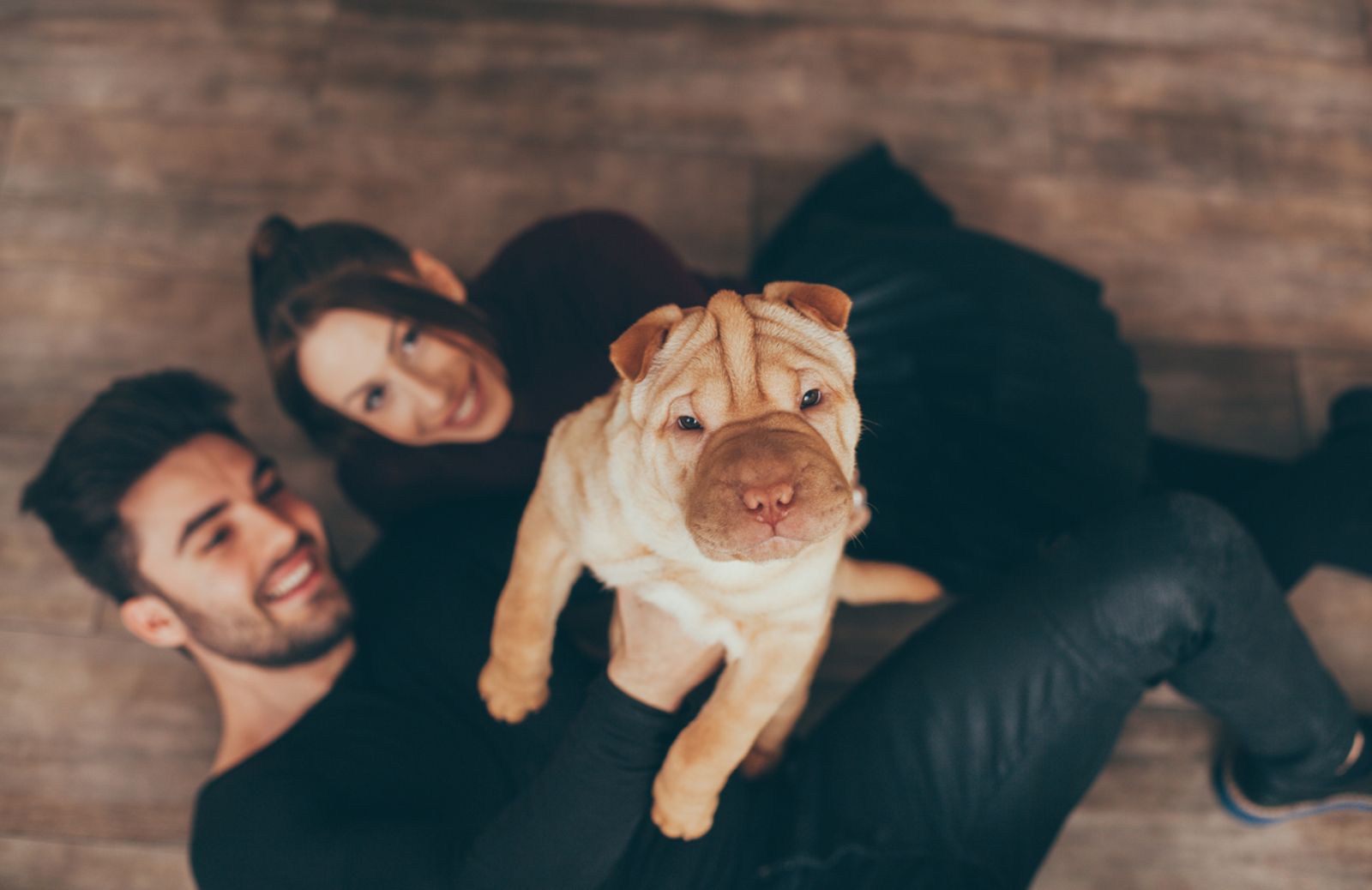 Come e perché cani e gatti fanno bene al rapporto di coppia