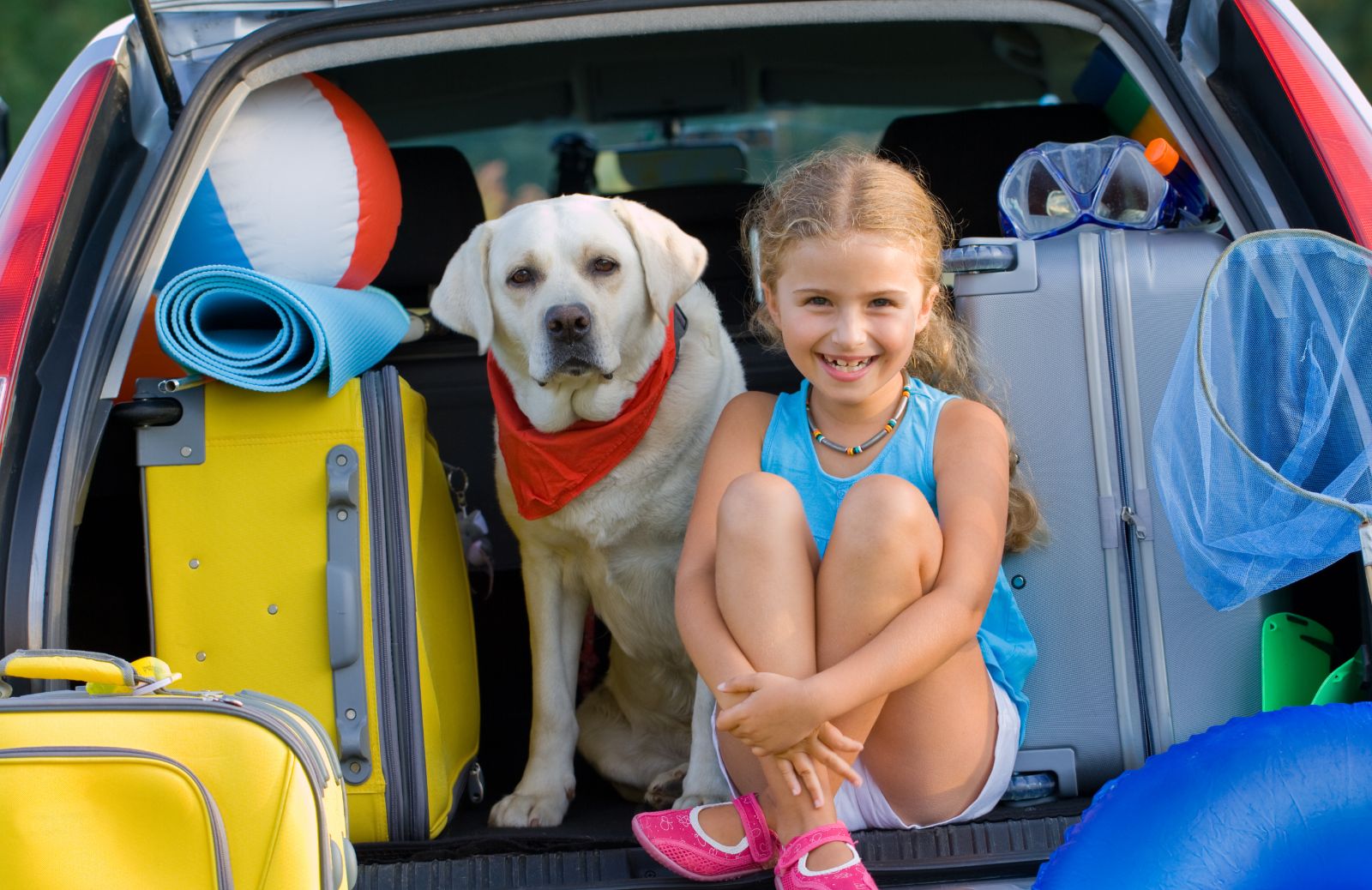 Come fare le valigie per cani, gatti e altri animali