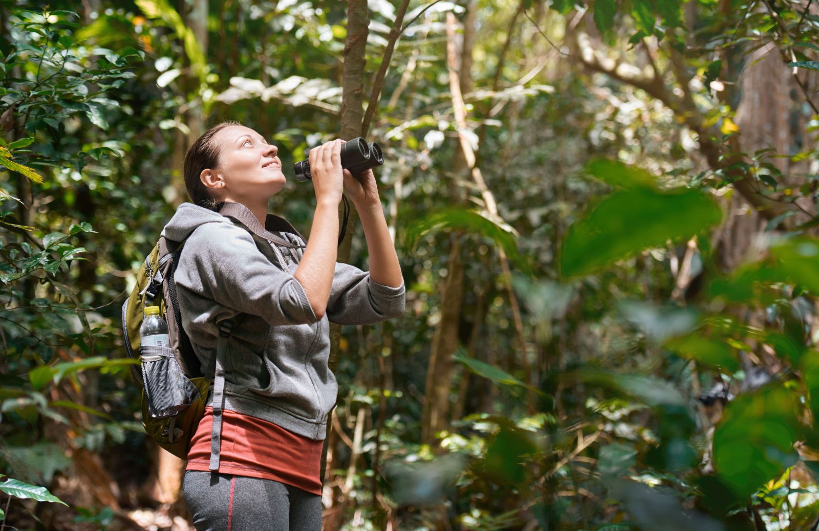 I migliori posti per fare birdwatching all’estero