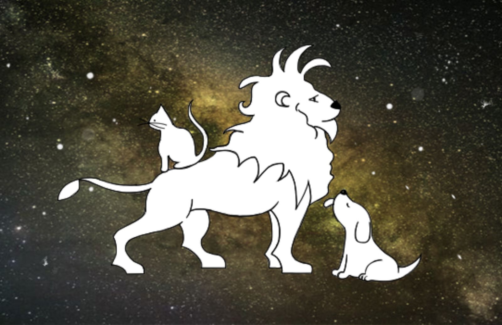 Oroscopo degli animali: il segno del Leone per il tuo cane e gatto
