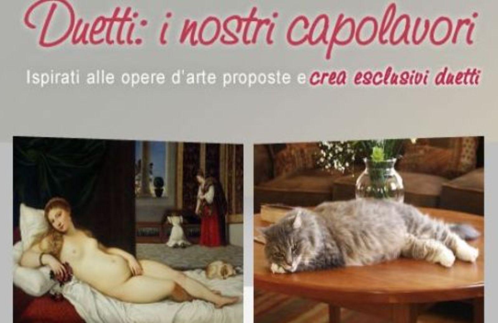 Come partecipare al concorso Duetti: i capolavori con la foto del tuo gatto