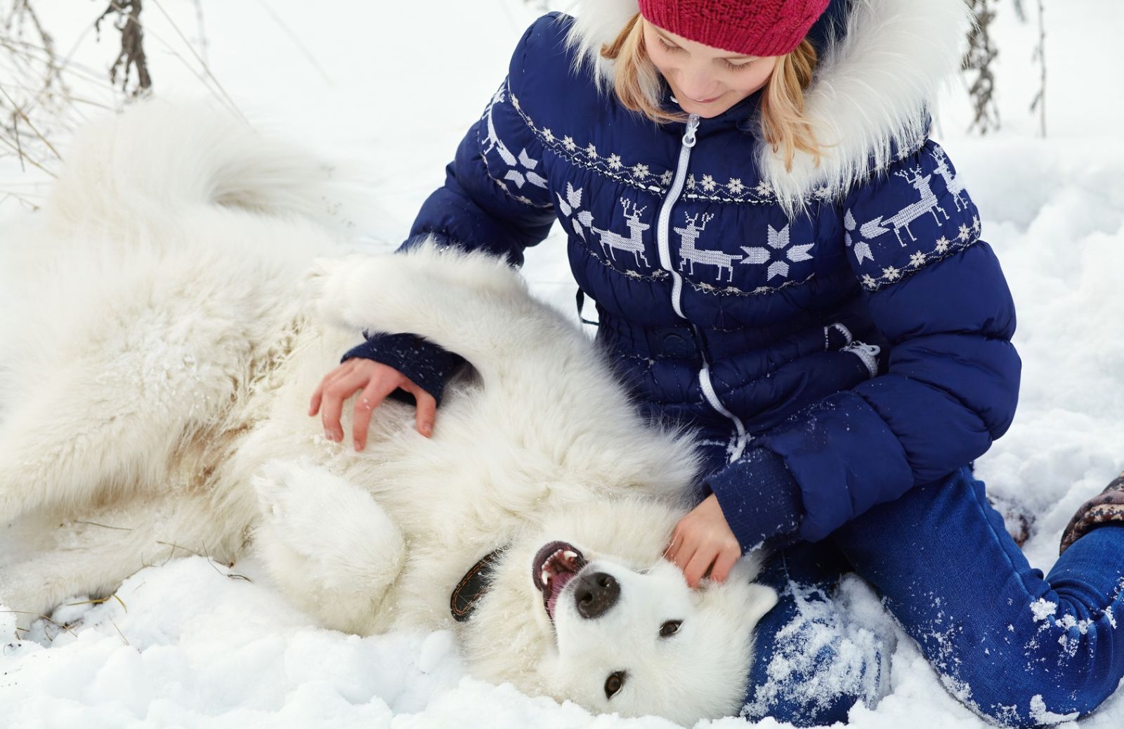5 giochi da fare sulla neve col cane