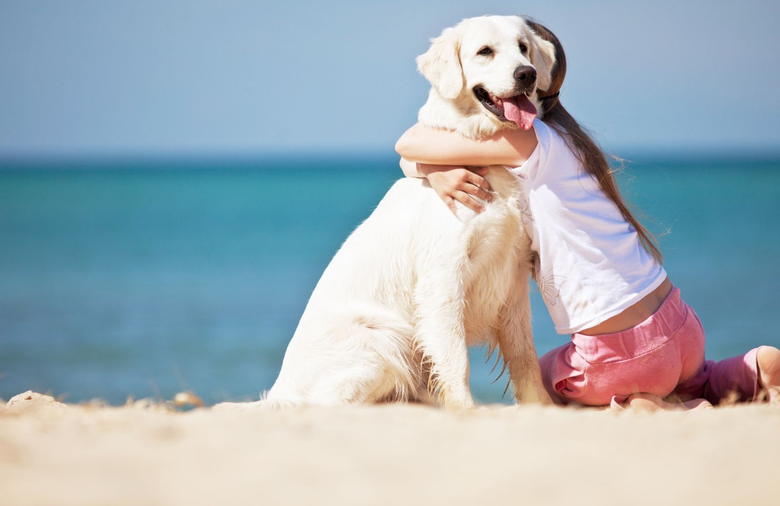 7 spiagge italiane pet friendly dove giocare con Fido