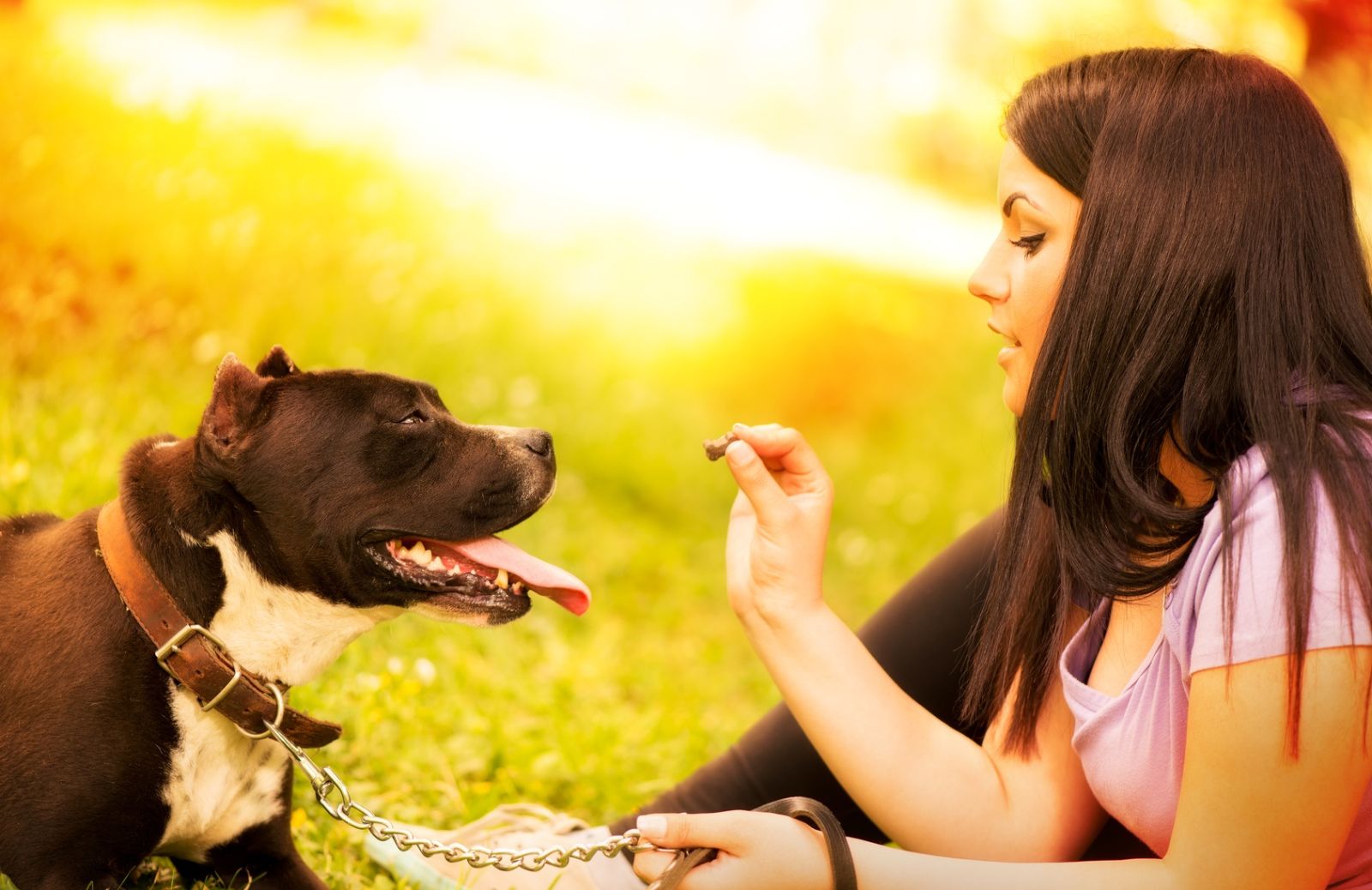 Ad ogni Fido il suo snack: come scegliere lo snack giusto per il tuo cane