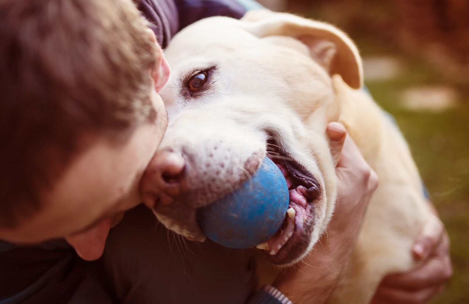 Al parco con Fido: 5 giochi d’autunno