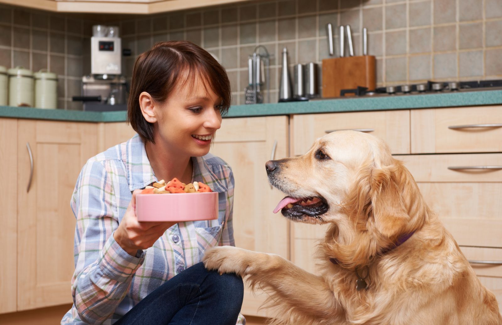 Alimentazione del cane: l’importanza di una dieta varia