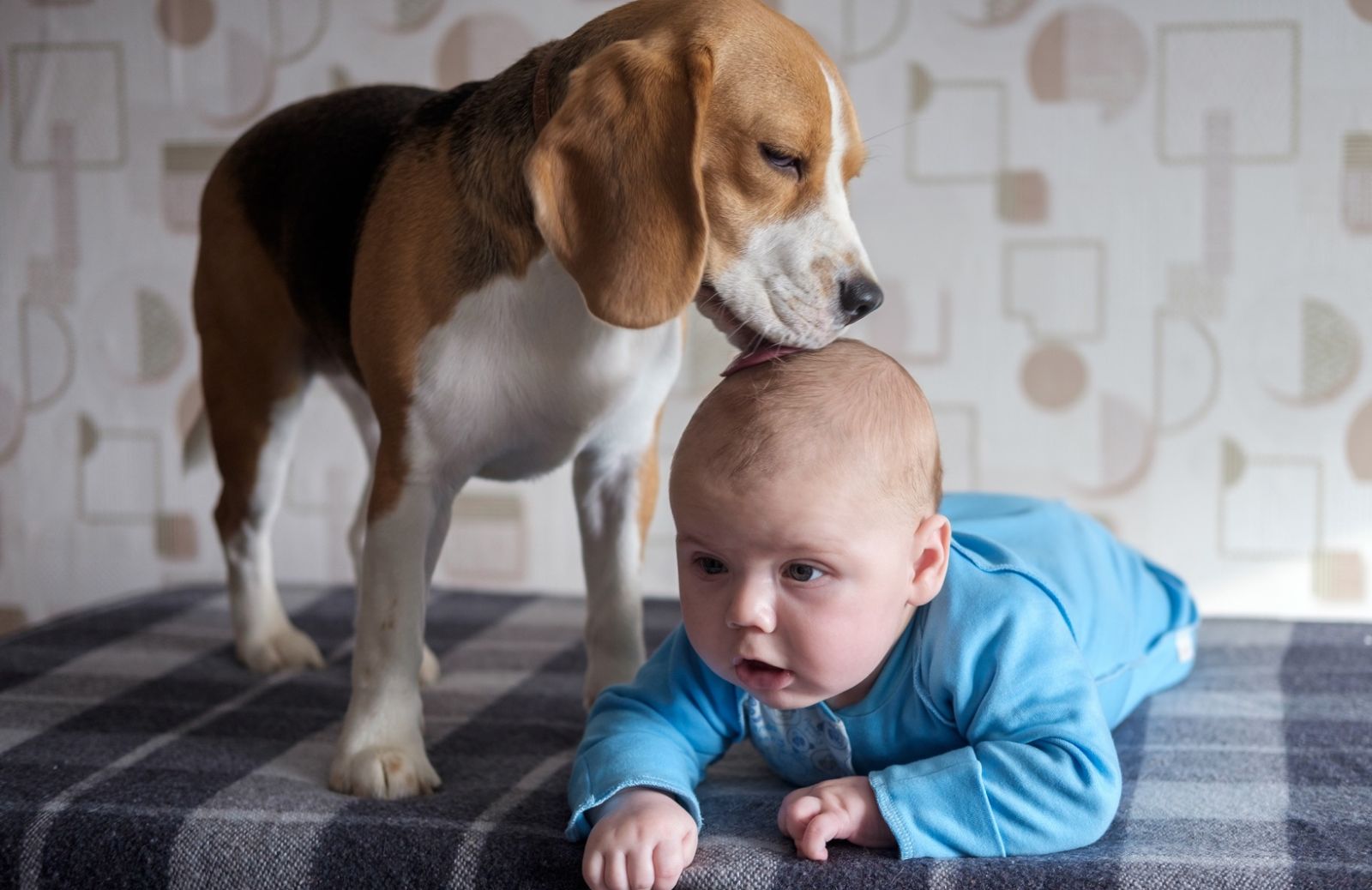 Cani e bambini: 5 regole di pulizia, protezione e sicurezza