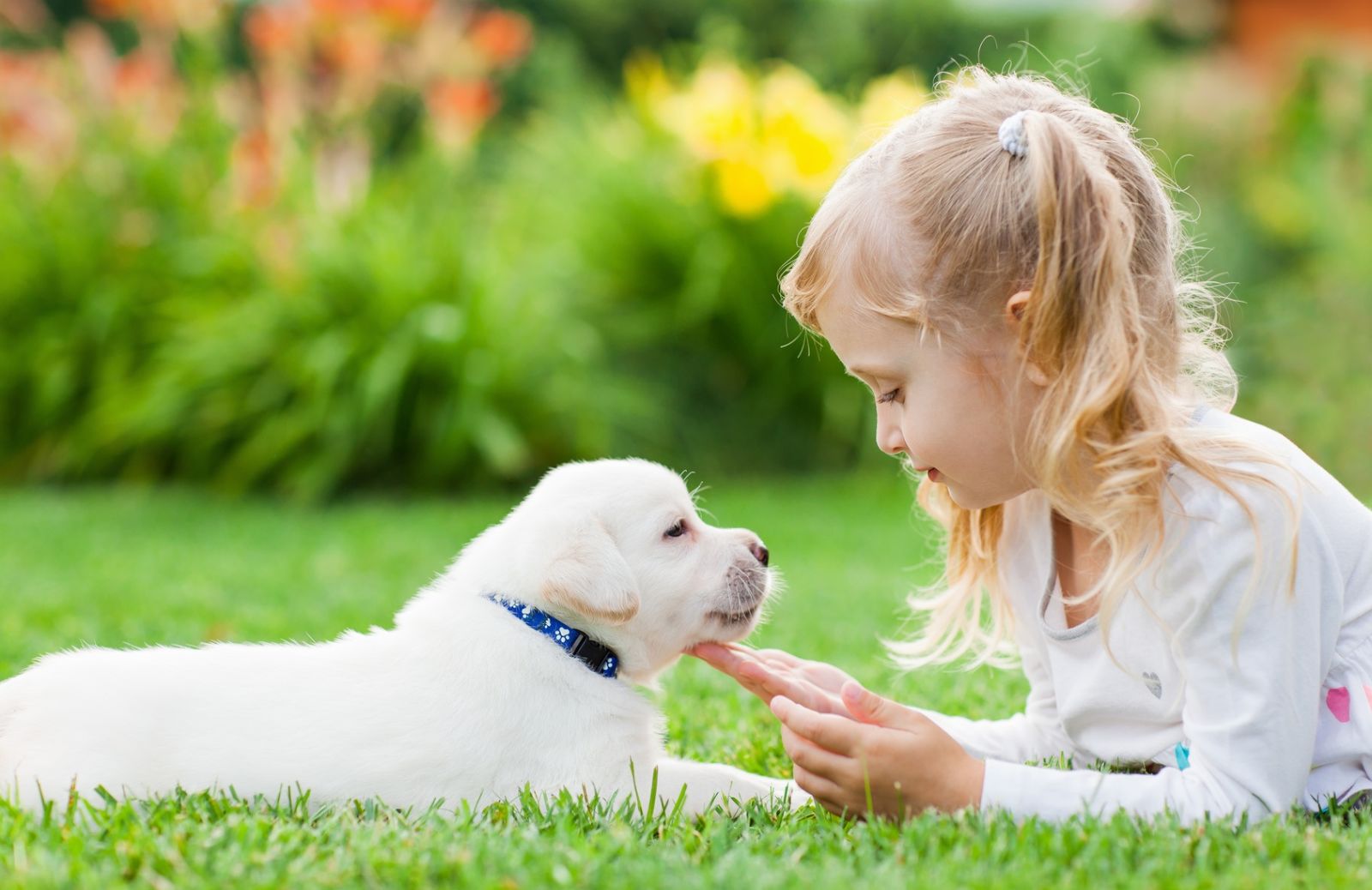 Cani e bambini: i giochi più divertenti da fare assieme
