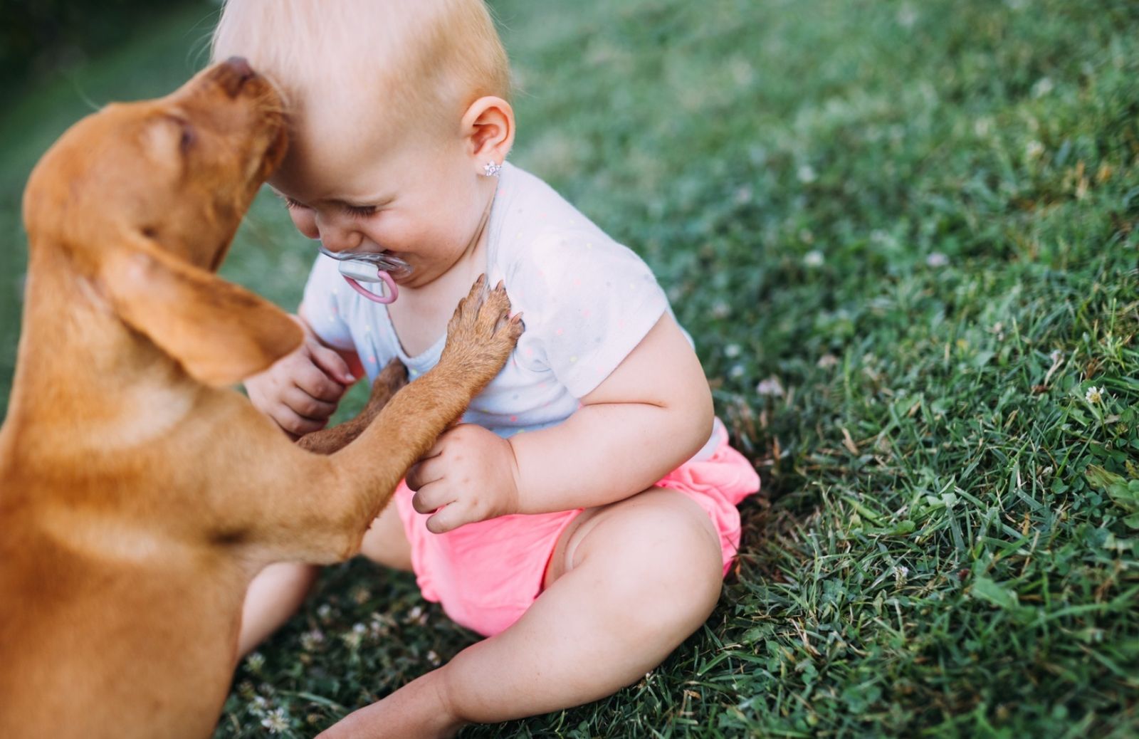 Cani e neonati: 5 motivi per accogliere un cucciolo in famiglia