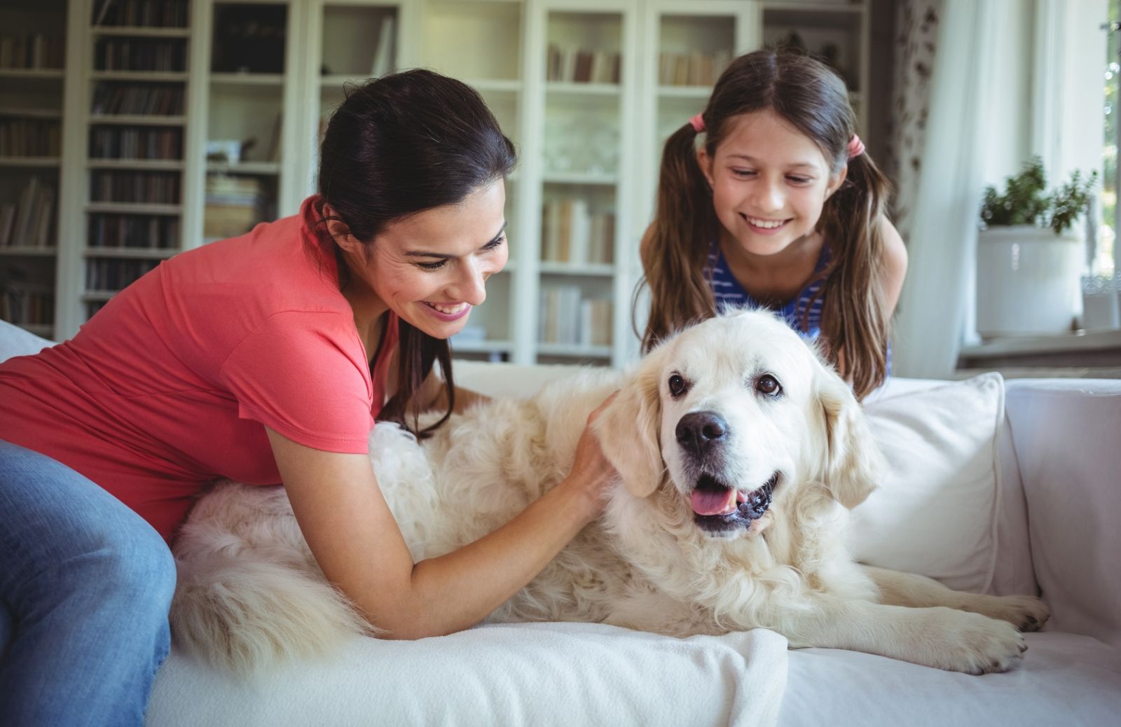 I 10 cani più adatti a vivere in appartamento