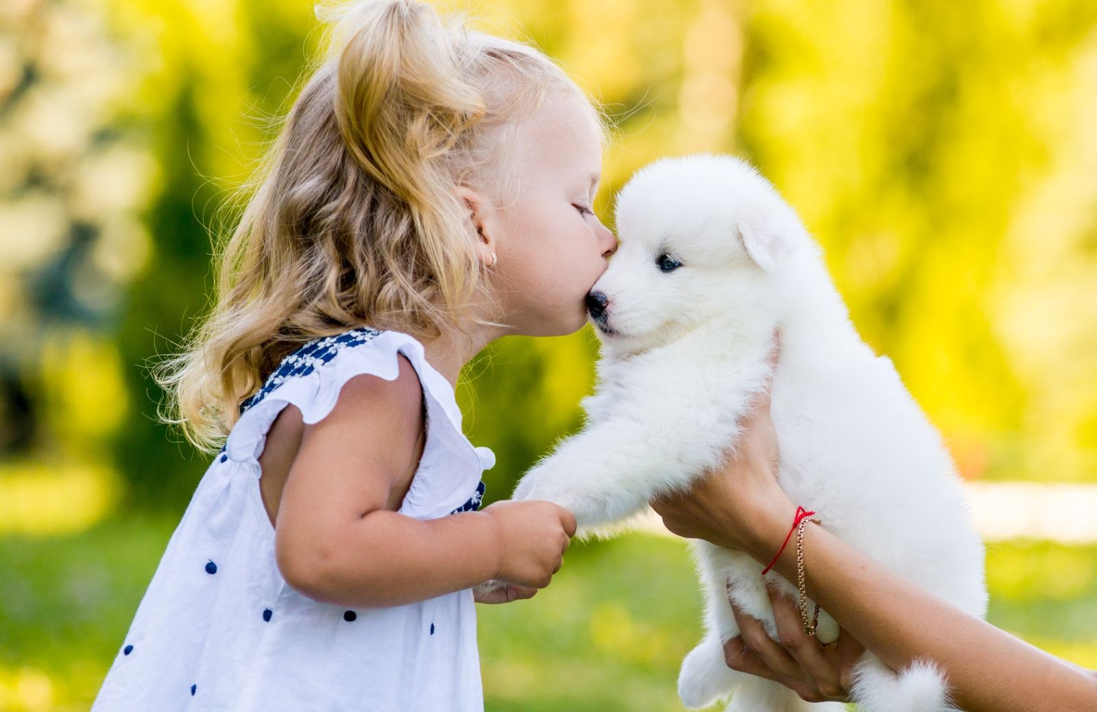 Tutti al parco: giochi all'aria aperta con il cane