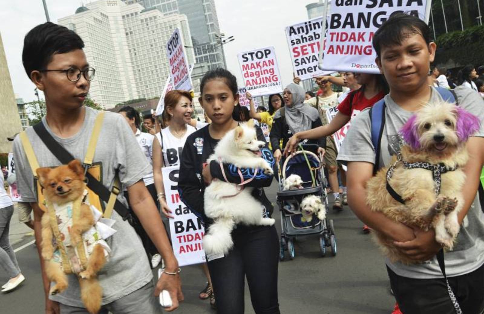 A Jakarta mangiati 225.000 cani in un anno