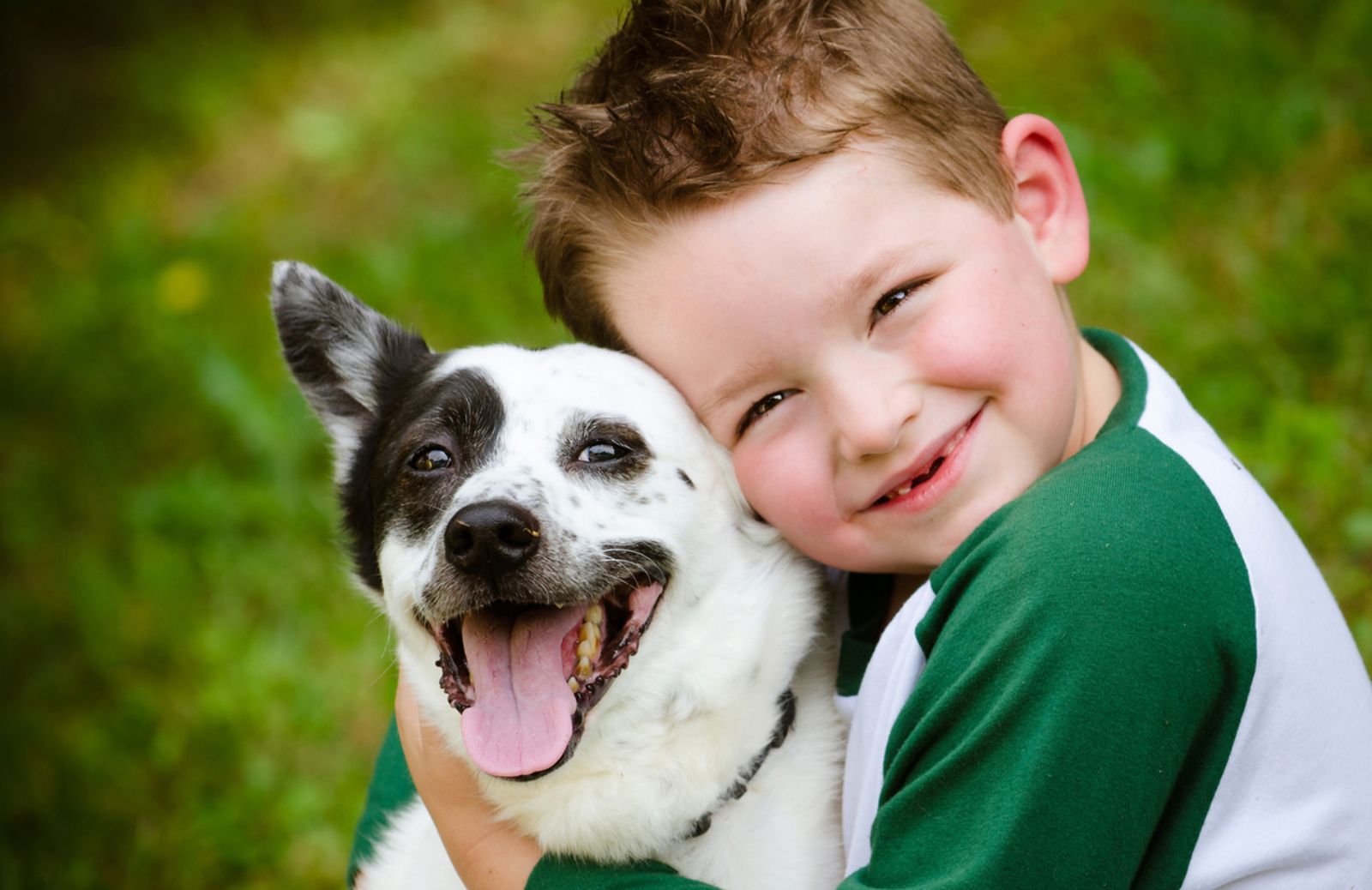 Crescere con un cane riduce il rischio di asma 