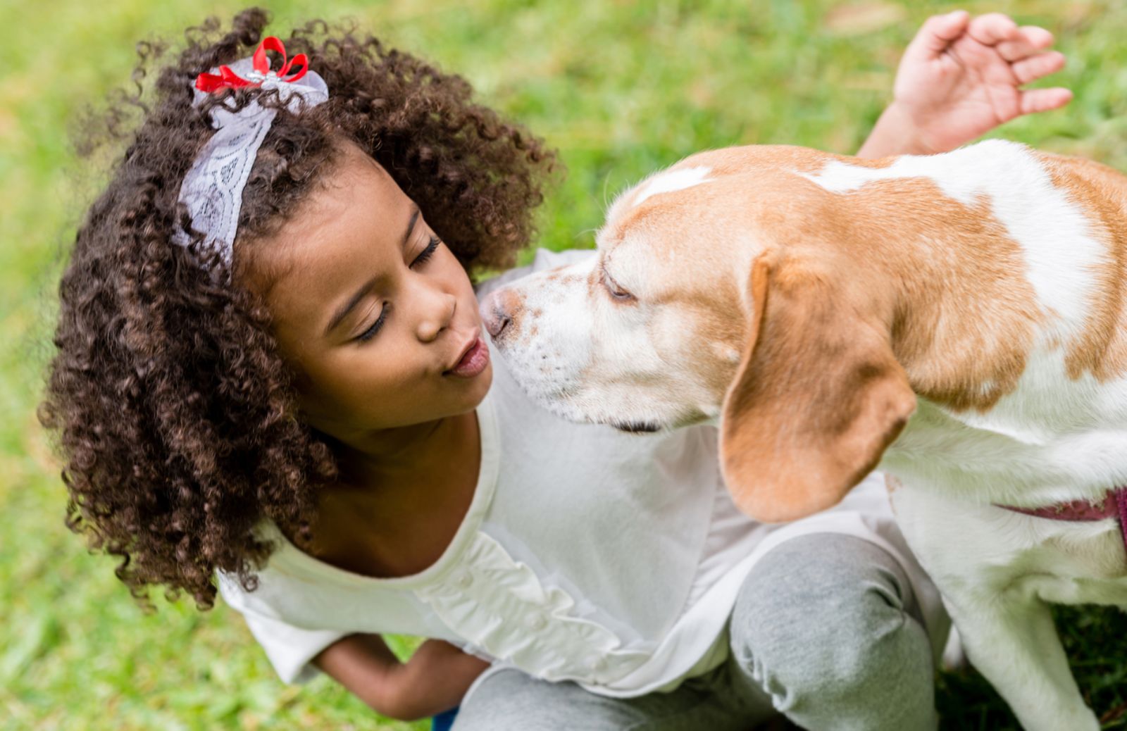 Giornata degli animali 2014 in 100 piazze italiane