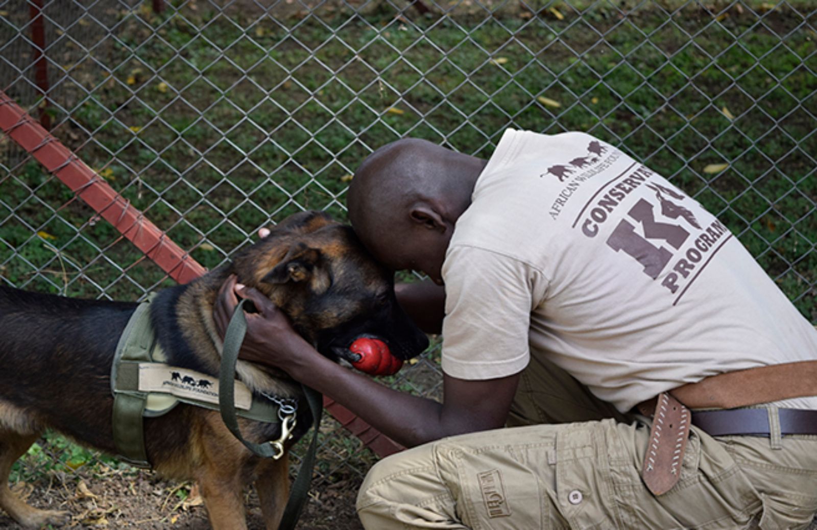 In Africa sono in azione gli sniffer dogs