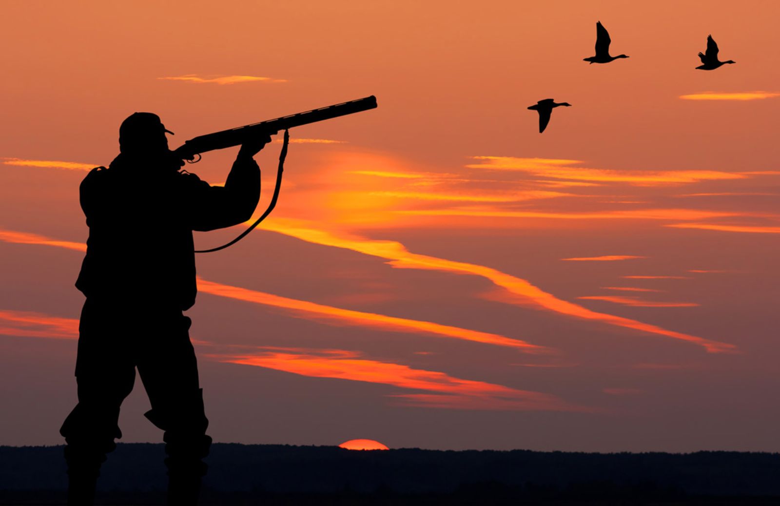 In Italia uccisi da bracconieri otto milioni di uccelli protetti 