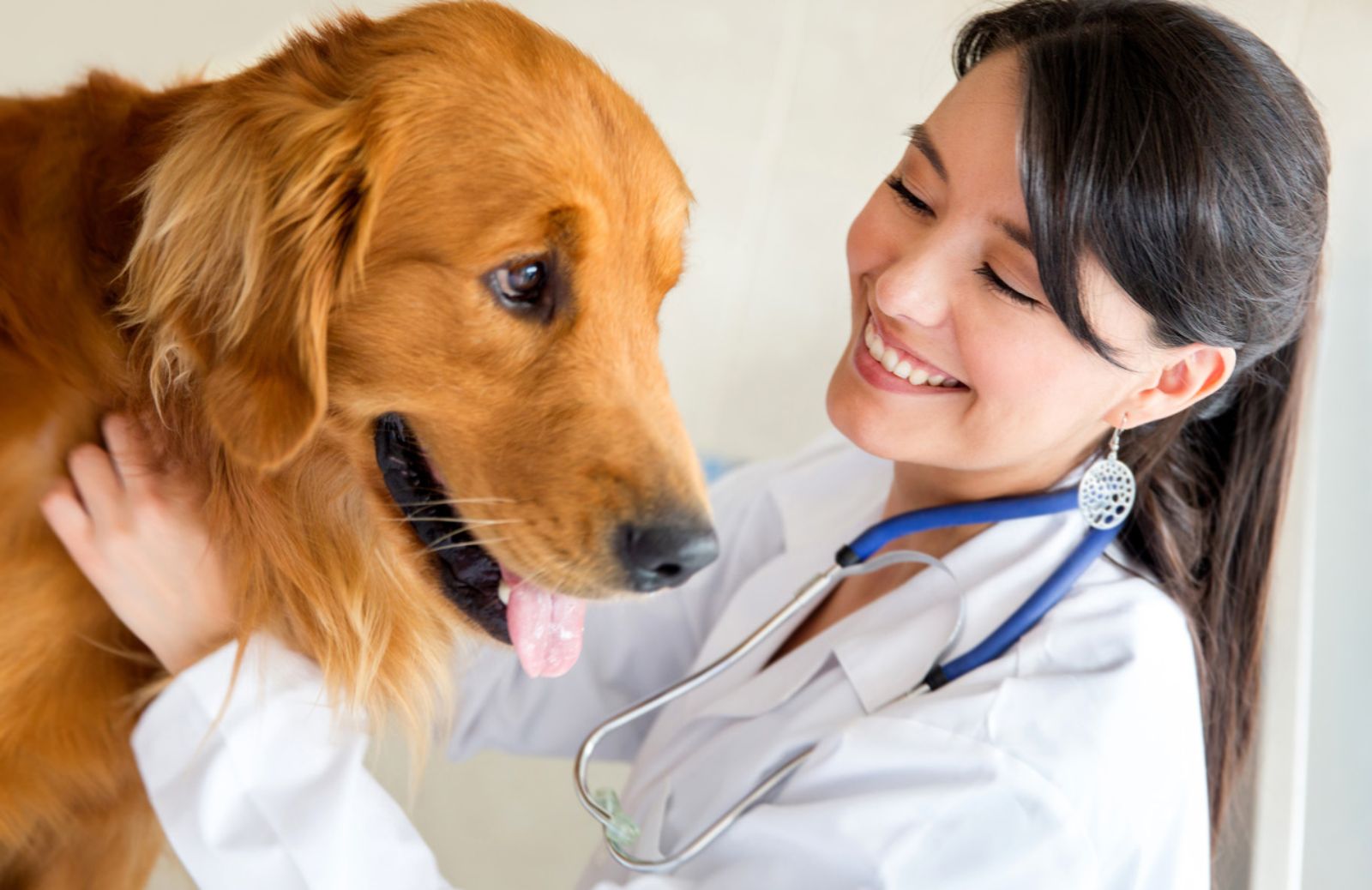 In arrivo l'obbligo di cartella clinica veterinaria