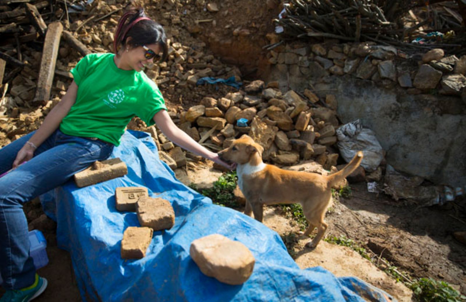 Le Ong di soccorso agli animali dopo il terremoto in Nepal 