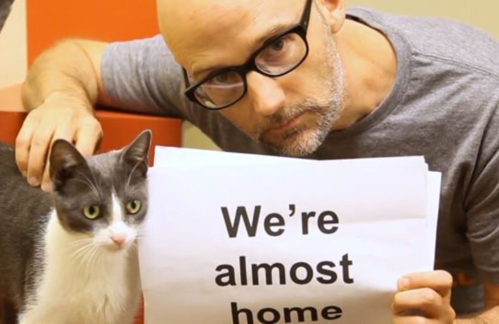 Moby canta per cani e gatti abbandonati: il lyric video di Almost Home è pro adozioni