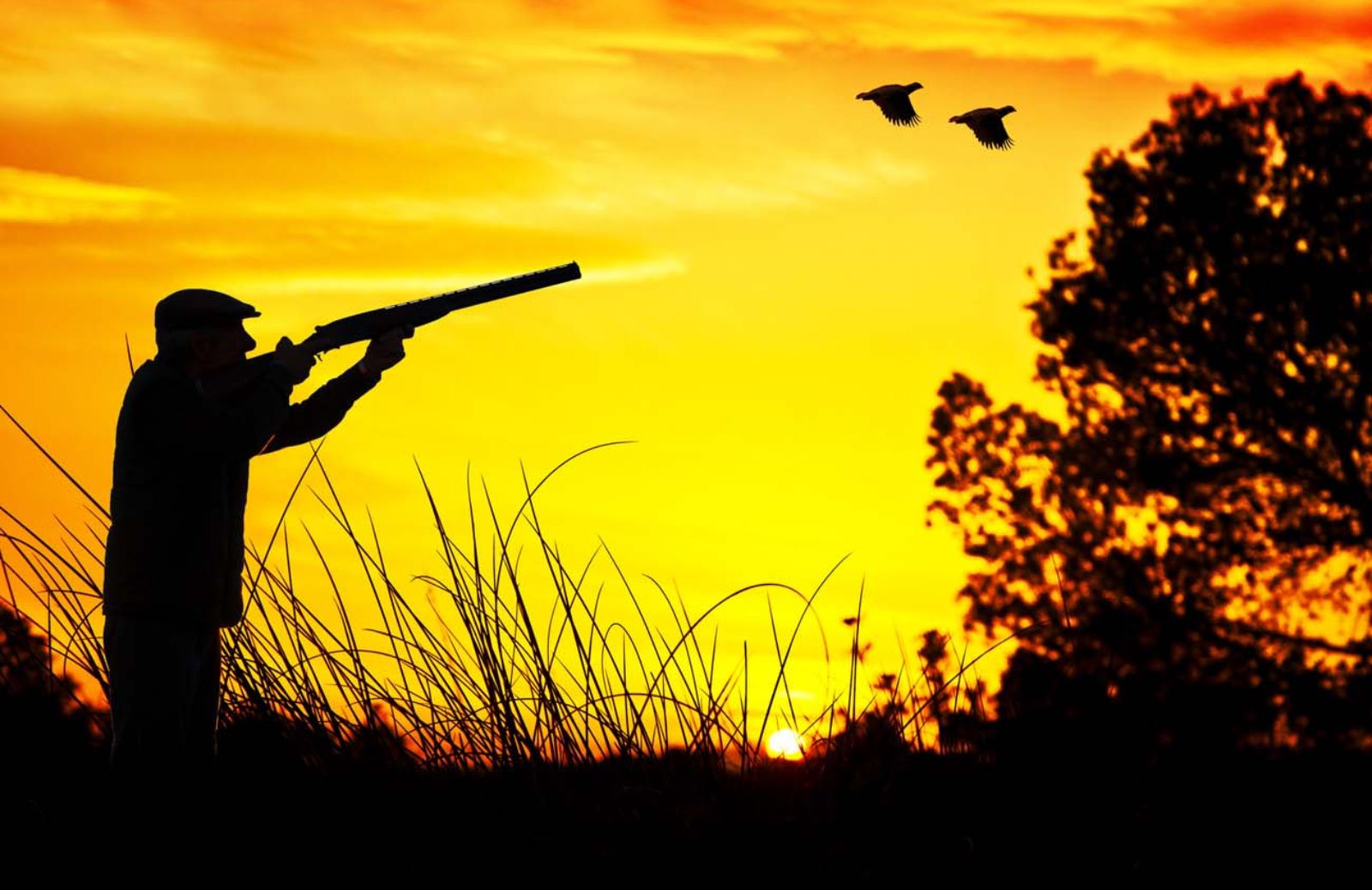 Nel Mediterraneo 25 milioni gli uccelli uccisi dalla caccia illegale 