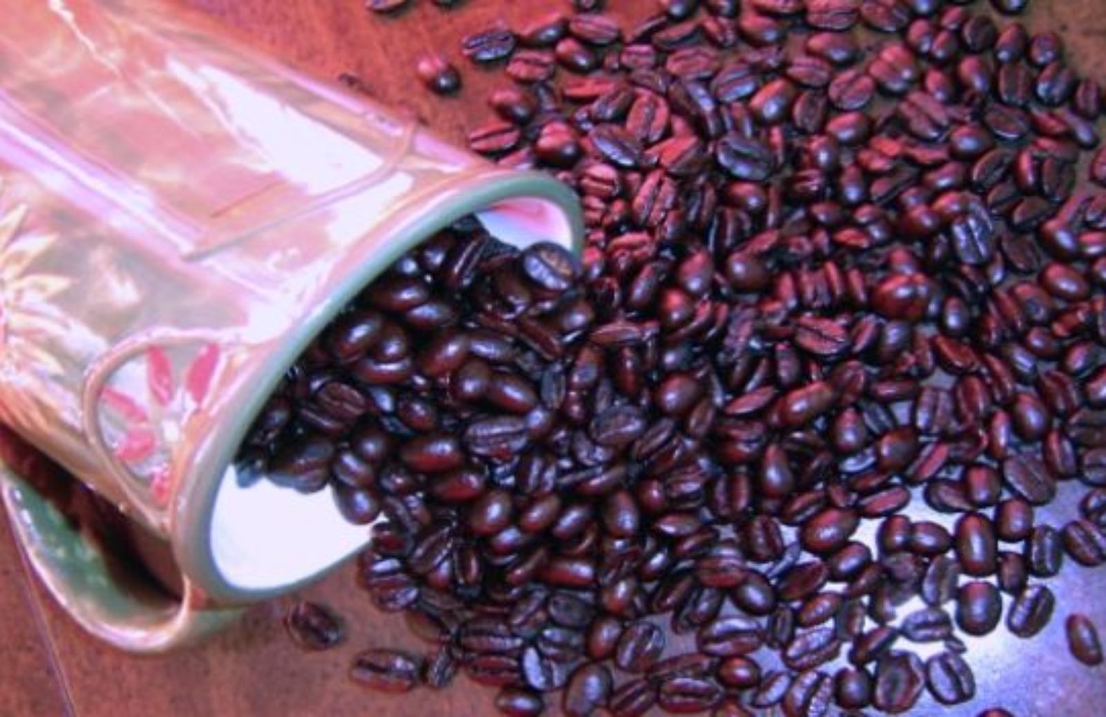 Come fare in casa il liquore al caffè e cacao