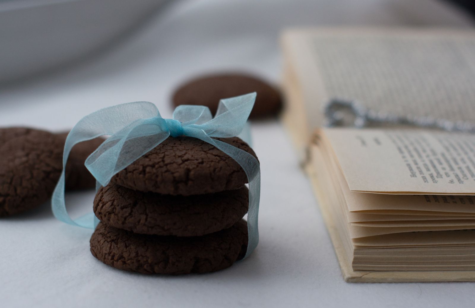 Dolci creazioni: biscotti di pasta frolla al cacao