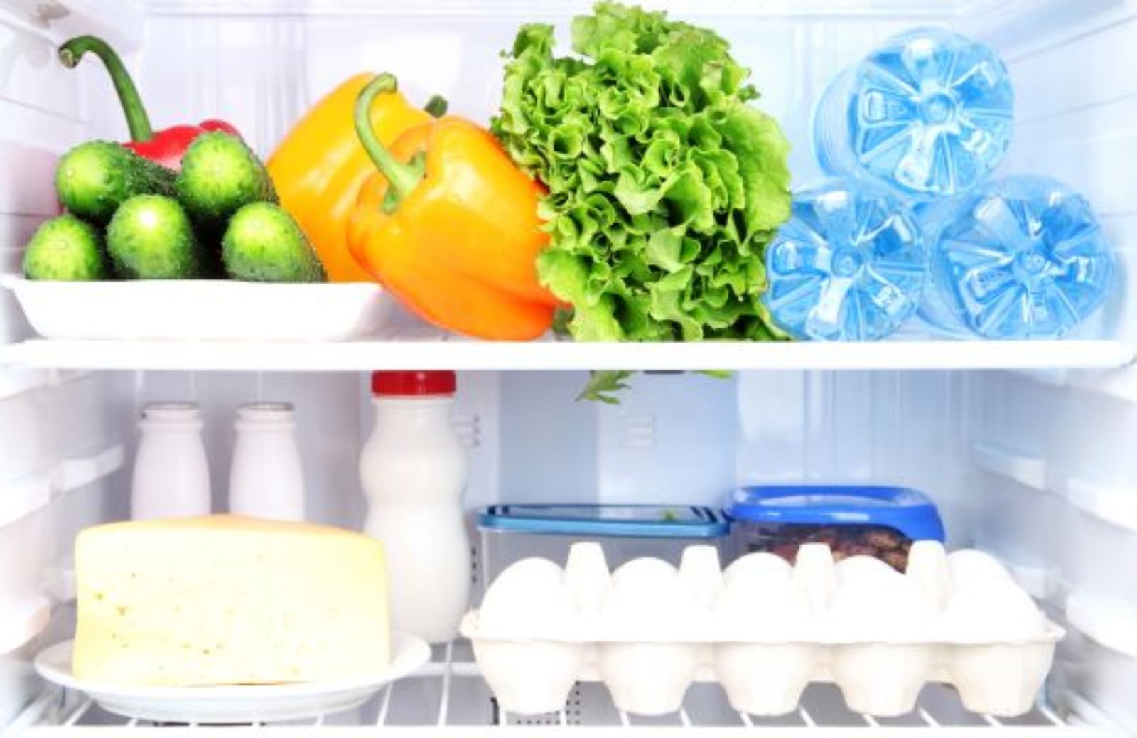 Come conservare gli alimenti: il frigorifero