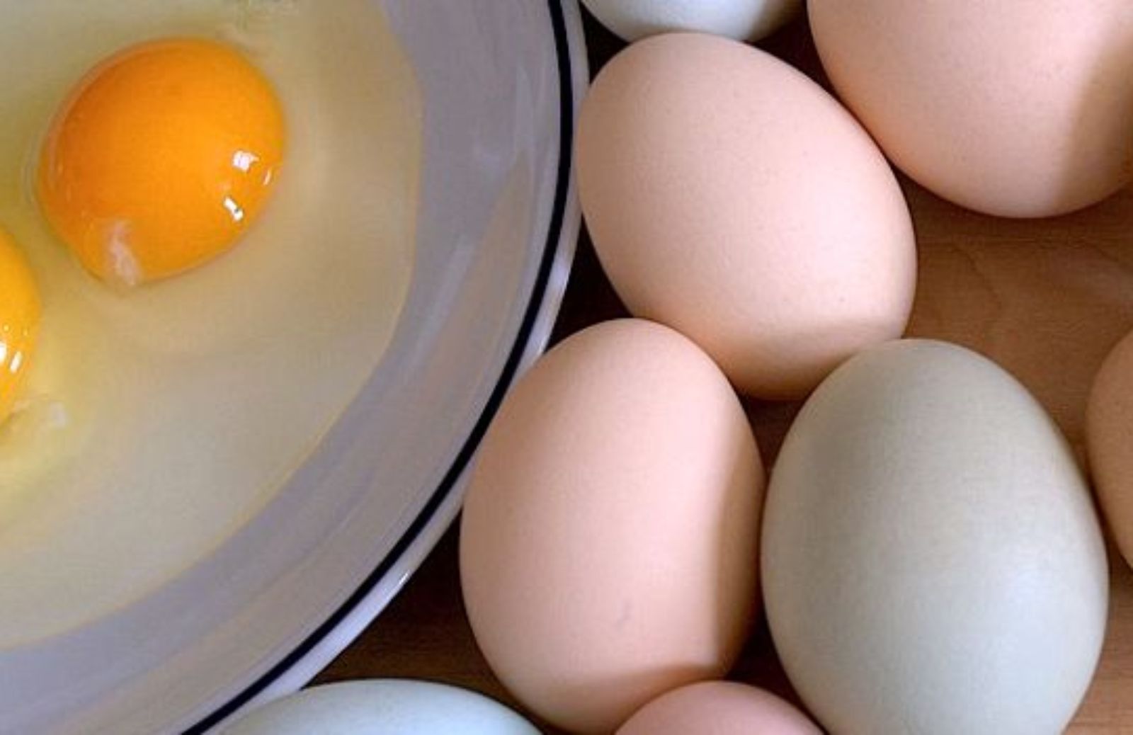Можно давать собакам сырое яйцо. Яйцо куриное. Яйцо домашнее куриное. Сырое яйцо. Женские яйца.