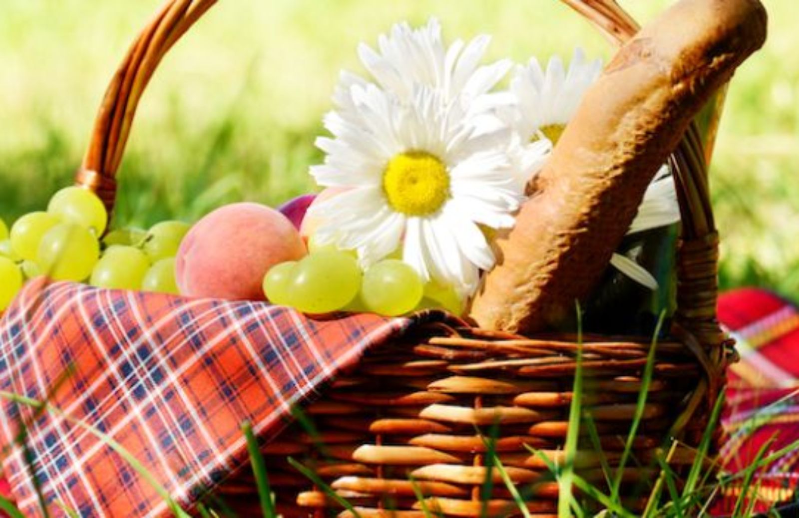 Come organizzare un pic-nic per il 25 aprile