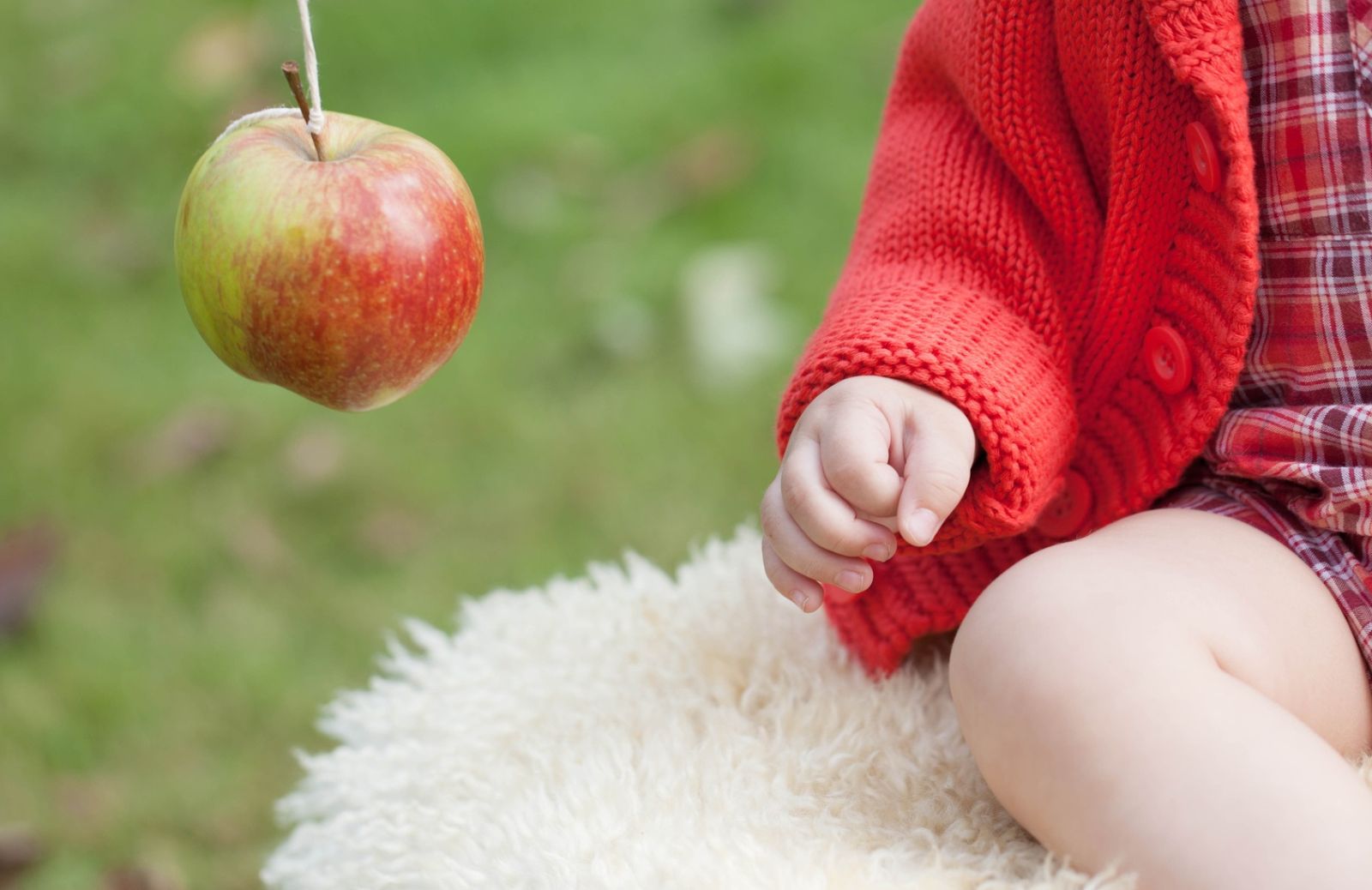 La frutta nello svezzamento: la mela